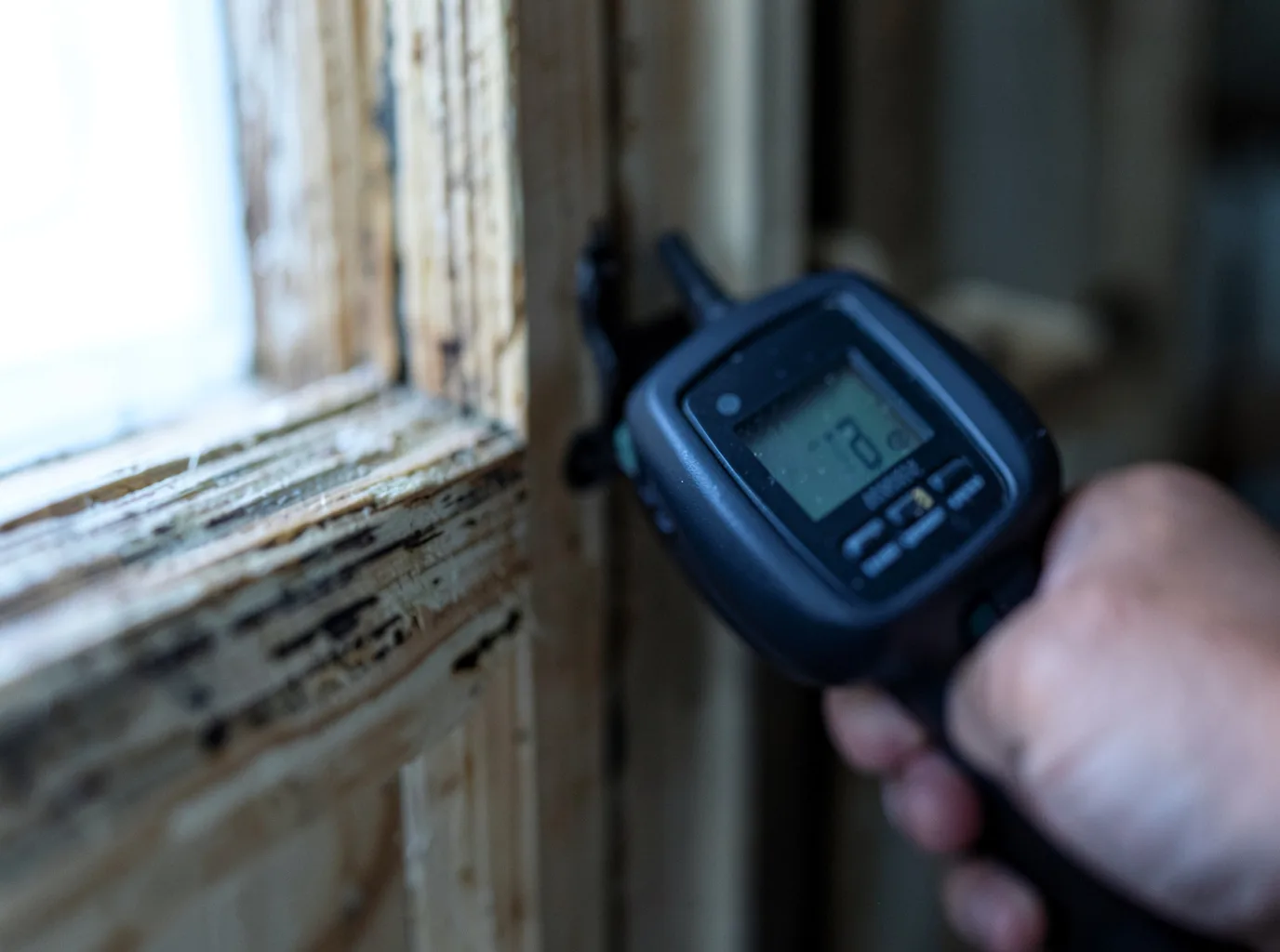 Moisture Inspection And Documentation in Charles City, VA